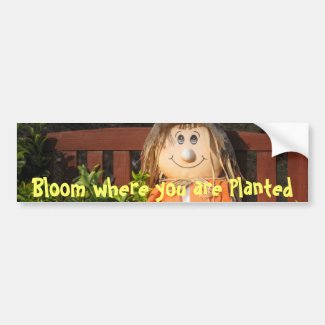 Funny and Inspirational Bumper Sticker