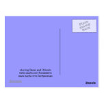funny angles kitties Postcard postcards