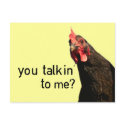 Funny Attitude Chicken - you talkin to me? postcards