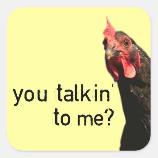 funny_attitude_chicken_you_talkin_to_me_