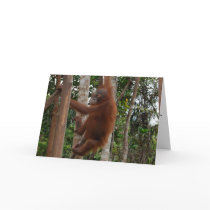 Funny Baby Hairdo cards by Rebecca_Reeder Funny Baby Hairdo cards