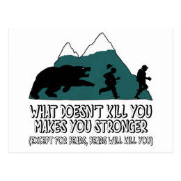 Funny bears postcard
