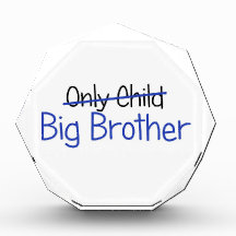 Funny Big Brother Design Award