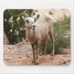 Funny Bighorn Sheep Mousepad