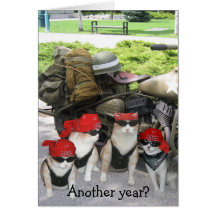 Funny Biker Cats Birthday Greeting Card