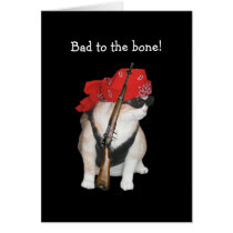 Funny Biker/Nonconformist Cat Birthday cards