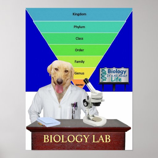 Funny Biology Lab Poster for Teachers