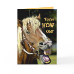 Funny Birthday Card