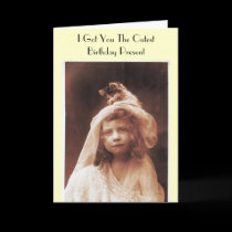 Funny Birthday Card cards