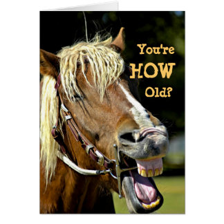 Funny Horse Birthday Cards | Zazzle