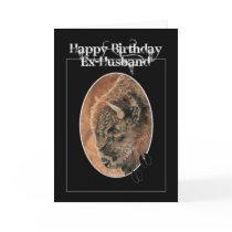 Funny Birthday Ex-Husband , Bison, Buffalo Animals Greeting Cards