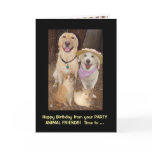 Funny Birthday from Group Cards