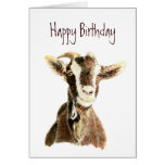 Funny Birthday, From the Old Goat who Loves YOU Card