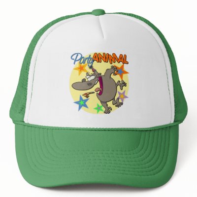 Funny Birthday Gift hats