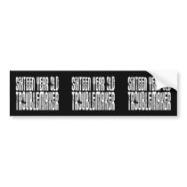 Funny Birthdays : Sixteen Year Old Troublemaker Bumper Stickers