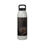 funny bison water bottles