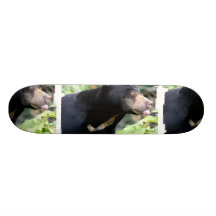 Funny Black Bear Skateboard