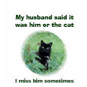 Funny Black Cat