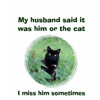 Funny Black Cat or Husband Women's T Shirt shirt