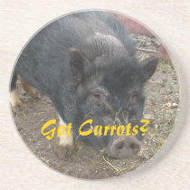 Funny black cute Pig Coaster