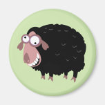 Funny Black Sheep Magnets