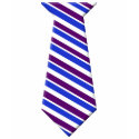 Funny Blue, White and Purple Tie T-Shirt