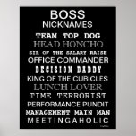 Funny Boss Nicknames and Job Titles Office Poster posters