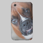 Funny boxer dog casemate cases