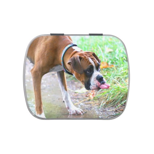 Funny Boxer Dog Tongue Out Jelly Beans Tin Jelly Belly Candy Tins Zazzle