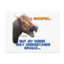 Funny Braille Horse postcards