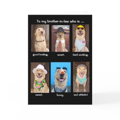 funny birthday quotes for brother in laws