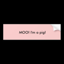 Funny bumper sticker bumper stickers