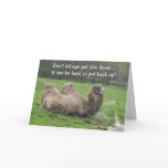 Funny Camel Birthday Greeting Cards