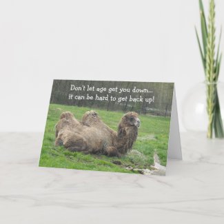 Funny Camel Birthday card