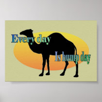 Funny Camel "Every Day is Hump Day" Poster