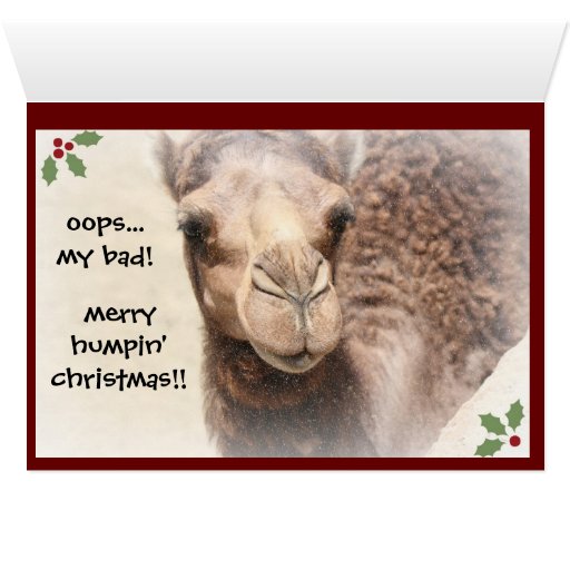 List 95 Pictures Funny Camel Pictures For Hump Day Superb 10 2023