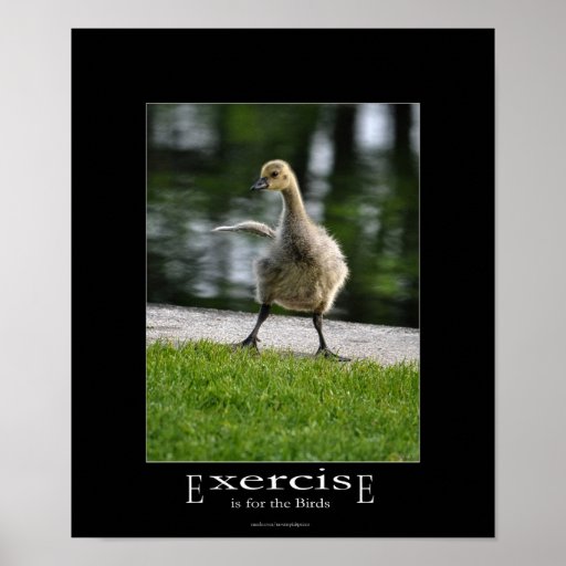 Funny Canada Goose Gosling Exercise Demotivational Posters