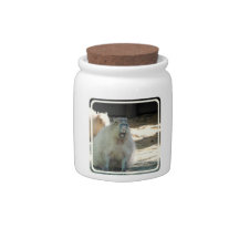 Funny Capybara Candy Jar