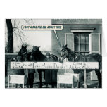 Funny Card - Horse Dinner