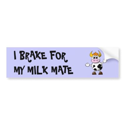 Funny Cartoon Cow bumper stickers