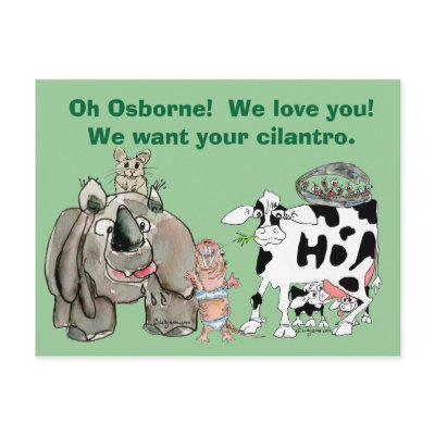 Funny Cartoon Drawings Custom Postcard by zooogle