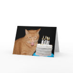 Funny cat birthday cards