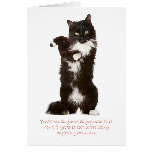 funny-cat-birthday-card-zazzle