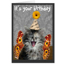 Funny cat birthday card or invitation