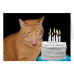 Funny cat birthday greeting card