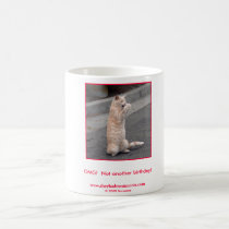 Funny cat birthday mug mugs