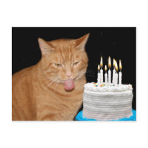 Funny cat birthday postcards