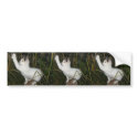 FUNNY CAT bumper stickers by MAPASUE FUNNY CAT bumper stickers