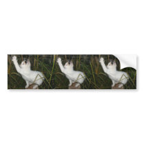 FUNNY CAT bumper stickers by MAPASUE FUNNY CAT bumper stickers