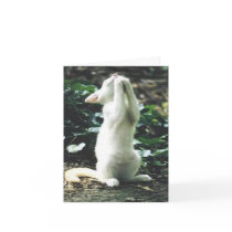 funny cat cards by pastormullins funny cat cards